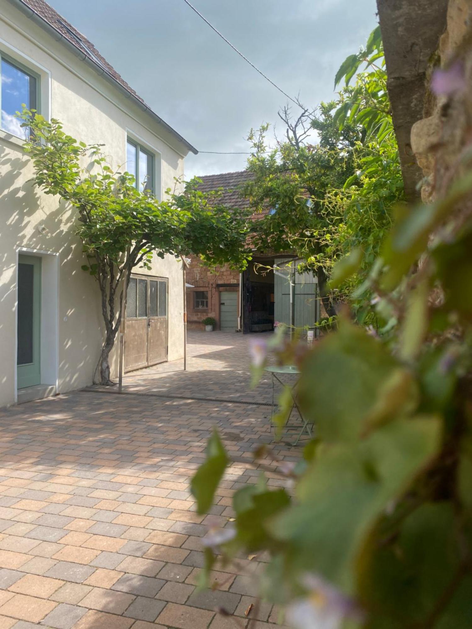 Apartment Zum Schockelgaul Gaestehaus Forst an der Weinstrasse